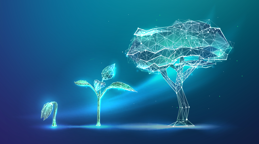 Sustainability and AI